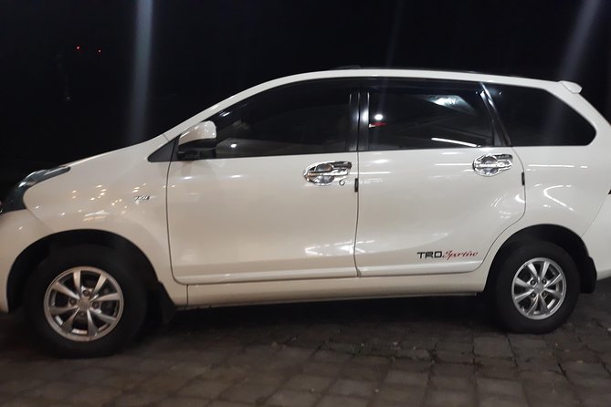 Amed Beach East Bali Private Hotel Transfer - Transfer Options and Availability