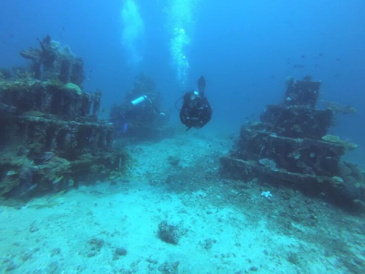 Amed: Guided Scuba Dive for Beginners/Non Certified Divers - Activity Details