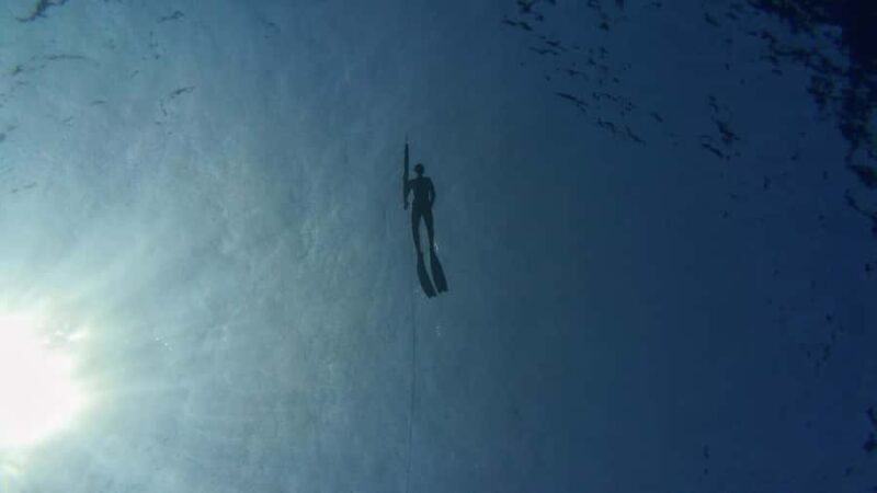 Amed: Spearfishing, Freediving and Catch & Cook Adventure - Pricing and Value