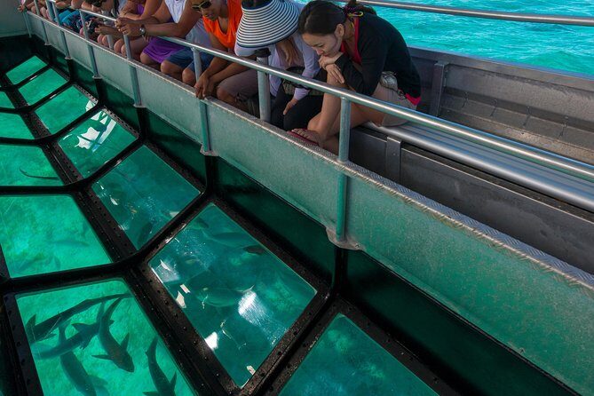 Amedee Lighthouse - An In-Depth Look at the Amedee Lighthouse Tour