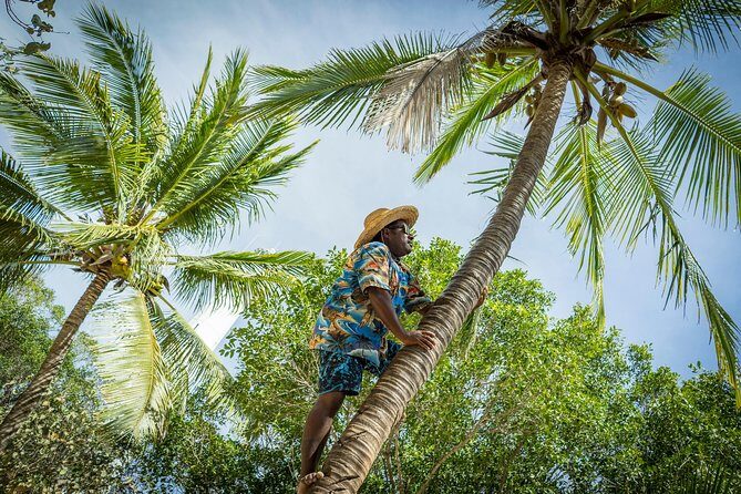 Amedee Lighthouse - Final Thoughts