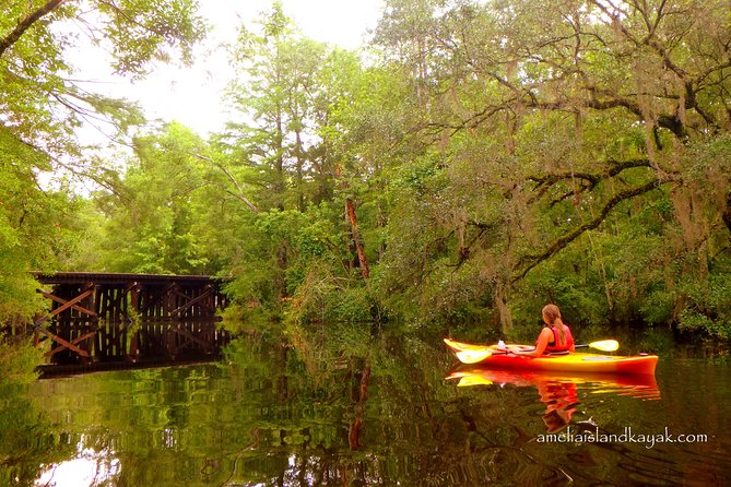 Amelia Island Kayaking Tour  - Jacksonville - Inclusions and Meeting/Pickup Information