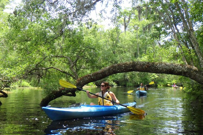 Amelia Island Kayaking Tour  - Jacksonville - What to Expect