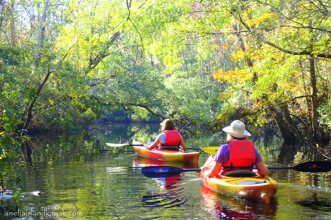 Amelia Island Kayaking Tour  - Jacksonville - Additional Information