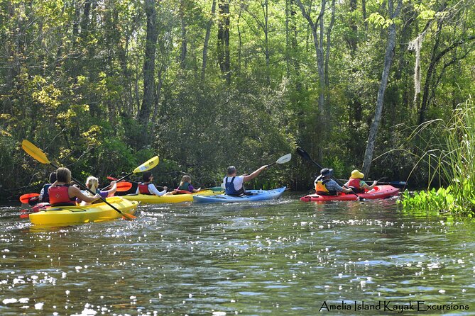 Amelia Island Kayaking Tour  - Jacksonville - Common Questions