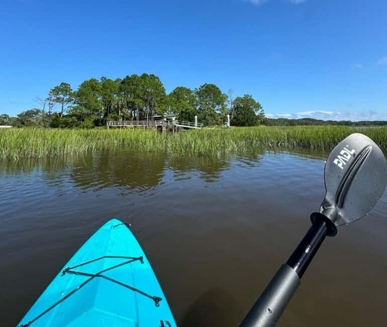 Amelia Island: Paddle Board or Kayak Rental - PADL Island - Good To Know