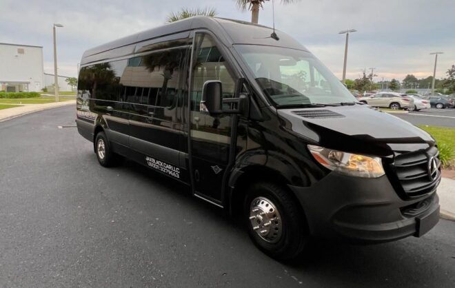 Amelia Island to St Augustine Nights of Lights Trolley Tour - Highlights of the Tour