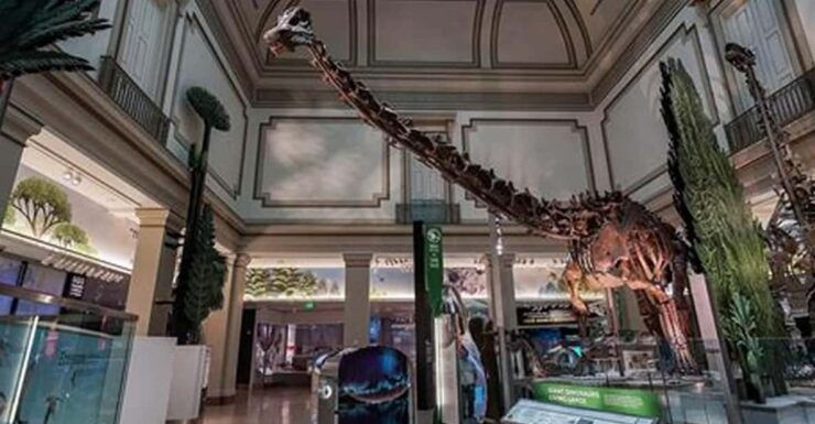 American History/Natural History Museum Combo Guided Tour - Good To Know