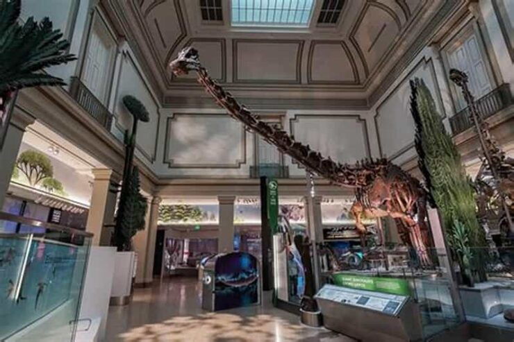 American History/Natural History Museum Combo Guided Tour - Pricing and Logistics