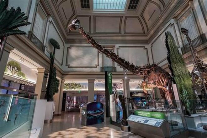 American History/Natural History Museum Combo Guided Tour - Tour Description