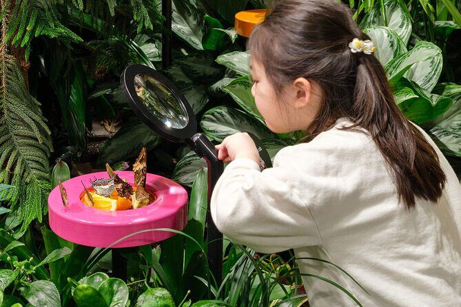 American Museum of Natural History Admission Ticket - The Sum Up: Is It Worth It?