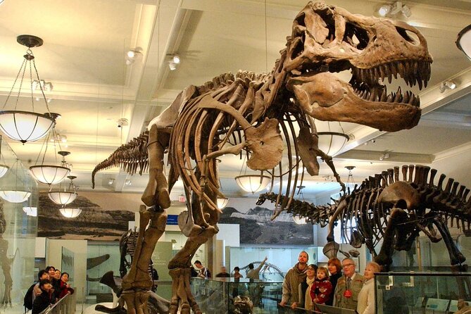 American Museum of Natural History Admission Ticket - Ticket Information and Pricing
