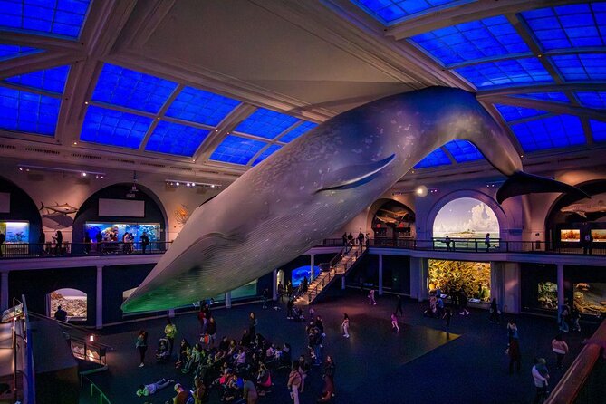 American Museum of Natural History Admission Ticket - Educational Programs