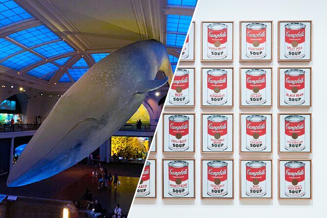 American Museum of Natural History and MOMA Combo Tickets - Final Thoughts