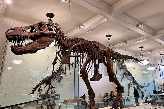 American Museum of Natural History and MOMA Combo Tickets - FAQ