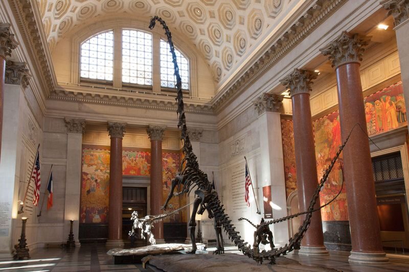 American Museum of Natural History Ticket - Space at the Rose Center