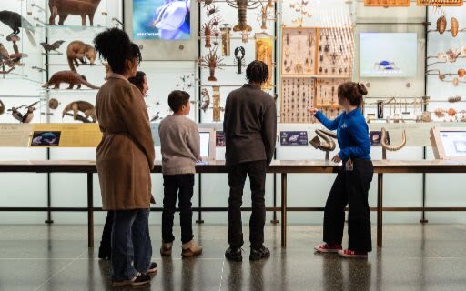 American Museum of Natural History Ticket - Getting There, Getting In, and Managing the Crowds