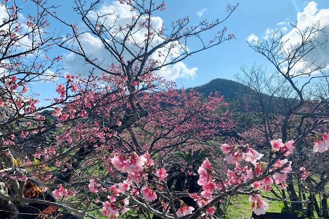 American Village &Okinawa Churaumi Aquarium Tour From Naha/Chatan - Inclusions