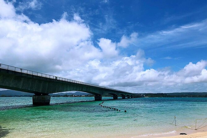 American Village &Okinawa Churaumi Aquarium Tour From Naha/Chatan - Additional Info