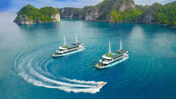 AMETHYST CRUISE - 5 Star CRUISE to Halong Bay 1 Day - What to Expect Onboard