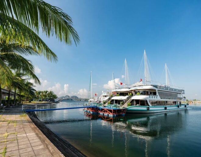 Amethyst Luxury Day Cruise- Explore Halong Bay/ Caves, Kayak - Inclusions and Exclusions