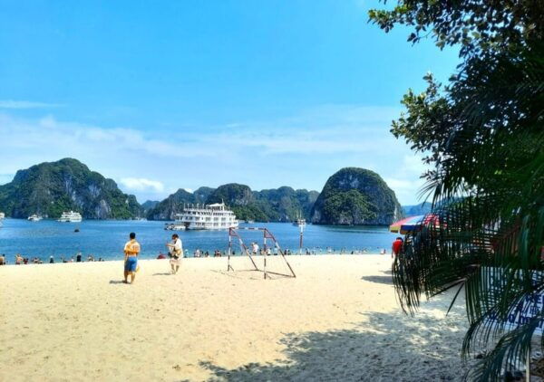 Amethyst Luxury Day Cruise- Explore Halong Bay/ Caves, Kayak - Booking and Cancellation Policies