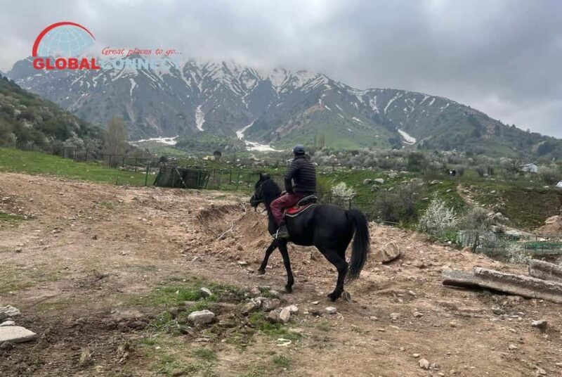 Amirsoy, Chimgan & Charvak Tour from Tashkent - Good To Know
