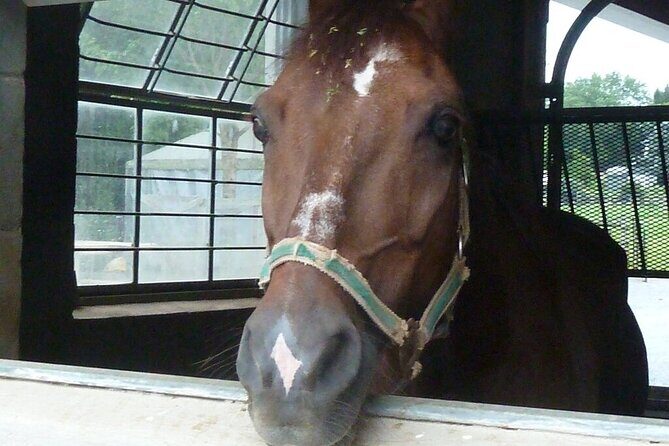 Amish Experience Visit-In-Person Tour - FAQs