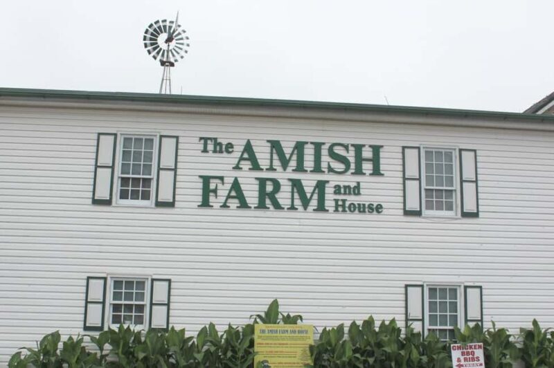 Amish Farm and House 1-Day Tour From Washington D.C. - Who is this tour right for?