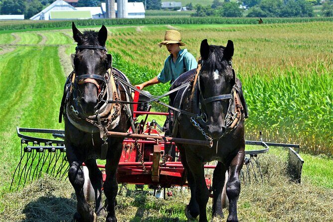Amish Farmlands Tour - Good To Know