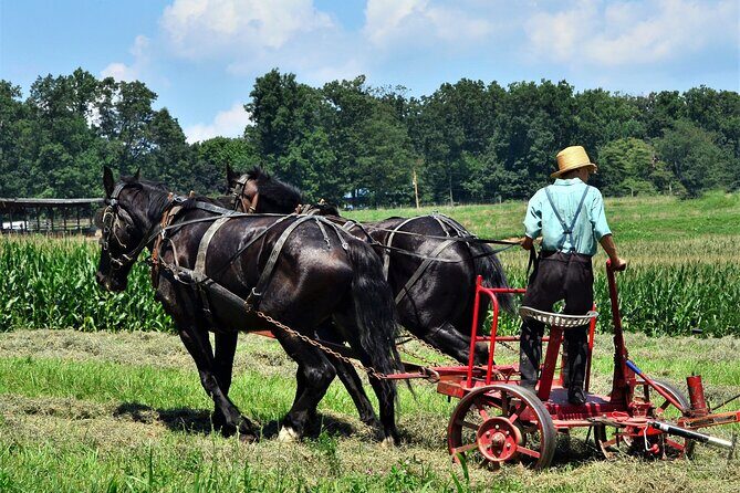 Amish Farmlands Tour - An In-Depth Look at the Amish Farmlands Tour
