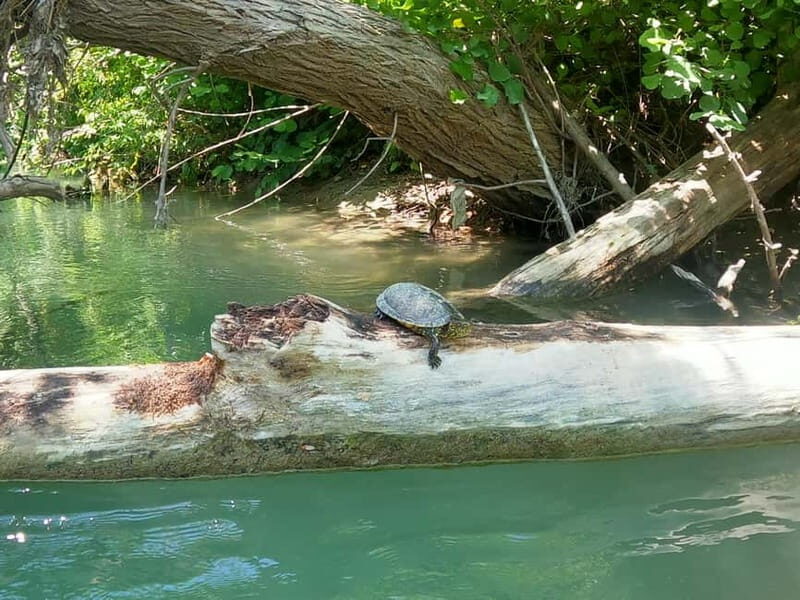 Ammoudia: 13 km Kayaking Adventure in the Acheron River. - What Makes This Tour Special  