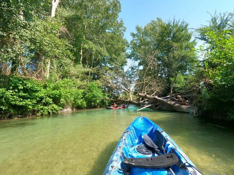 Ammoudia: 13 km Kayaking Adventure in the Acheron River. - Practical Details: What You Need to Know