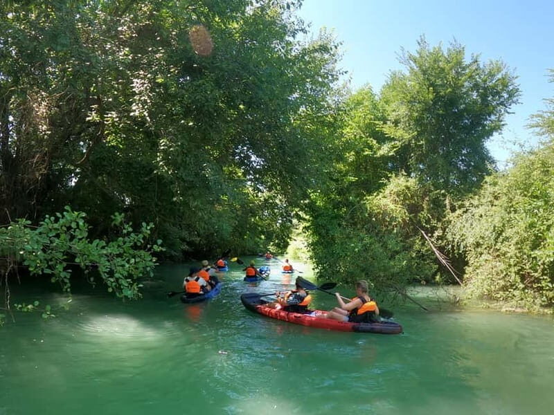 Ammoudia: Kayak down the Acheron 5.5 km - Who Will Love This Experience?