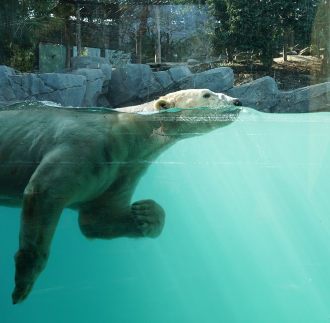 Amnéville Zoo: Full-Day Admission Ticket - Full Description of the Zoo