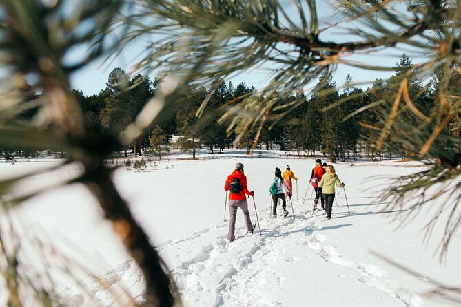 Amole Canyon Snowshoe Tour - Tour Details and Requirements