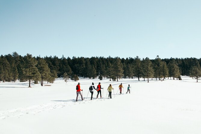 Amole Canyon Snowshoe Tour - The Sum Up