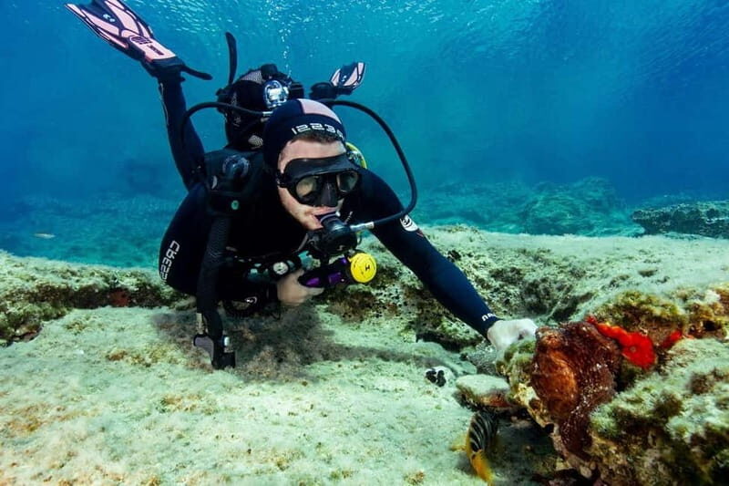 Amorgos Underwater Experience Open Water Diver Course - Who Should Consider This Course?