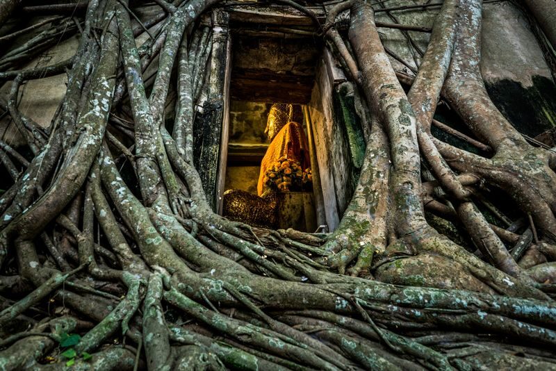 Amphawa Floating Market & Maeklong Railway Train Market Tour - The firefly cruise closes the day