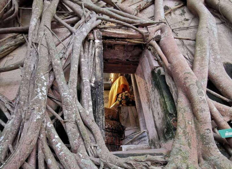 Amphawa Floating Market & Railway Market : Private Tour - Surrounding Temples