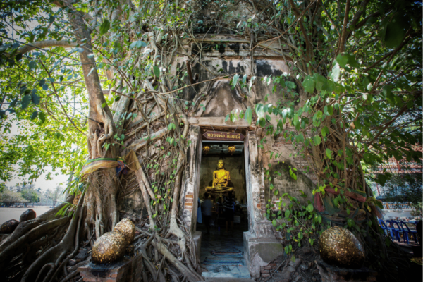 Amphawa & Railway Markets & Firefly Boat Ride: From BKK - Tips for Travelers