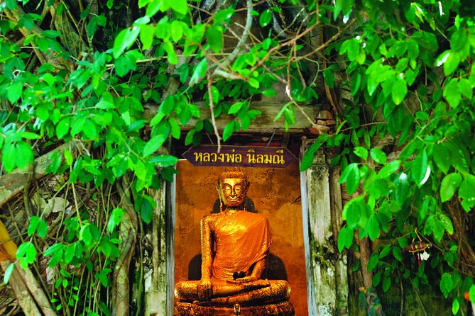 Amphawa & Railway Markets & Firefly Boat Ride: Multi-Lang Private Tour From BKK - Overview of the Tour