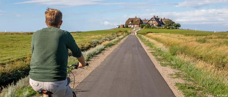 Amrum: Day trip by boat to Hallig Hooge - Exploring Hallig Hooge: A Unique Day Trip from Amrum