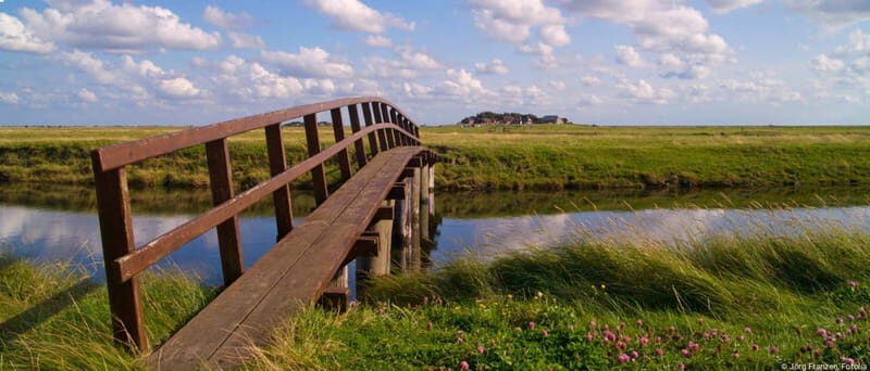 Amrum: Day trip by boat to Hallig Hooge - Discovering Hallig Hooge: Highlights and Attractions