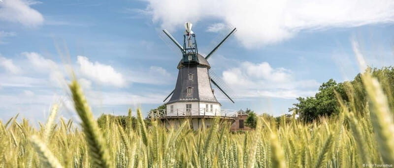 Amrum: Daytrip by boat to Föhr - Good To Know  