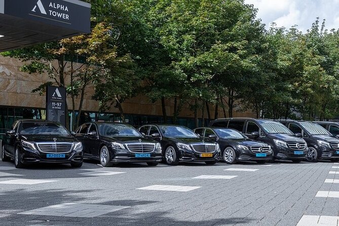 AMS Schiphol Airport VIP Meet and Assist Pickup (with Hotel Private Transfer) - What to Expect During AMS Schiphol Airport VIP Meet and Assist