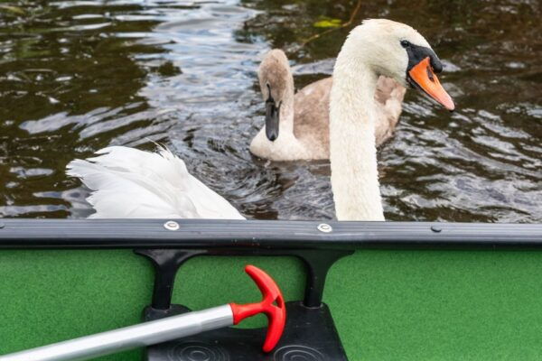Amsterdam: 2-Hour Guided Canoe Trip - Common Questions