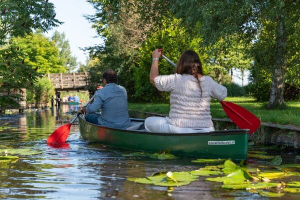 Amsterdam: 2-Hour Guided Canoe Trip - The Sum Up