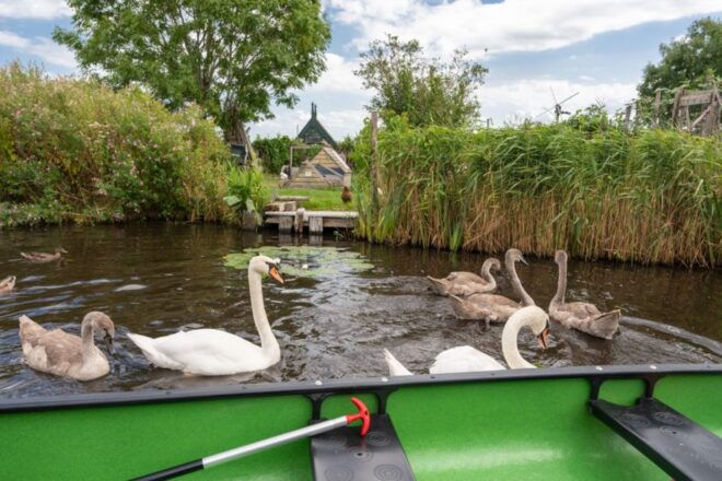 Amsterdam 5-Hour Guided Canoe Trip in the Wetlands - Customer Review and Recommendations