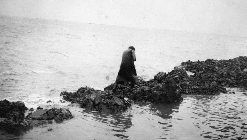 Amsterdam: Afsluitdijk and Wadden Center Museum Private Tour - Frequently Asked Questions